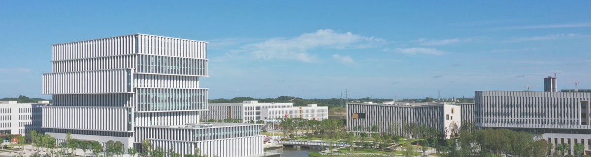 四川省自贡市大安区欧联杯官方合作伙伴