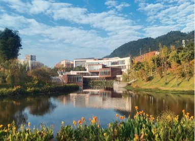 四川省博士学位授予单位“优先培育类”
